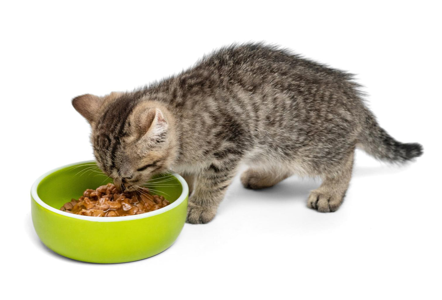 Kitten Growth Food (High Protein Formula) 1kg
