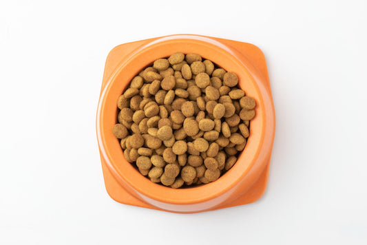 Pedigree Adult Dry Dog Food (Chicken & Veg) 3kg