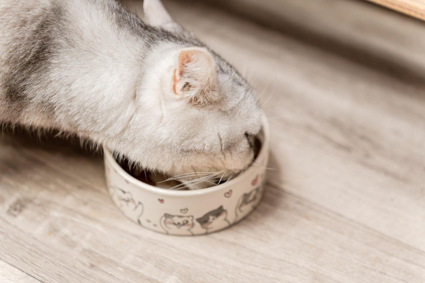 Whiskas Adult Cat Food (Ocean Fish) 1.2kg
